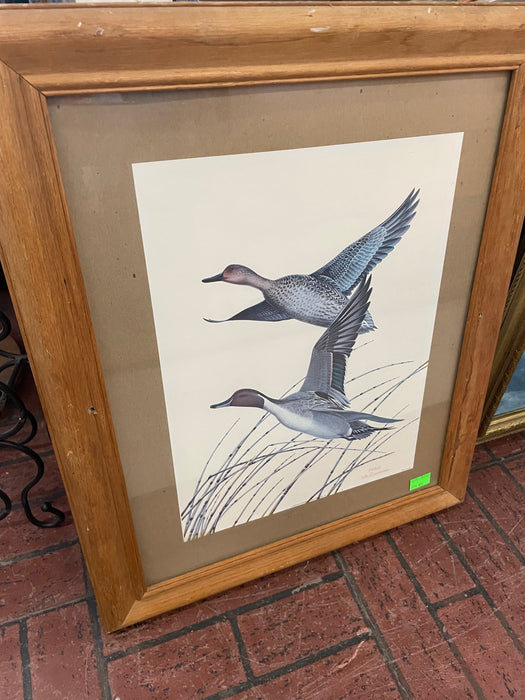 Vintage framed pintail ducks print by William Zimmerman 32748