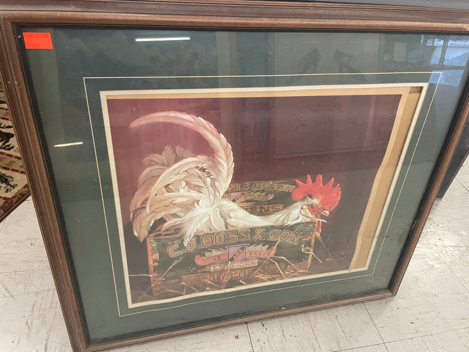 "Fine & Fancy" leghorn rooster roosting in crate framed picture 32663